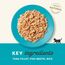 APPLAWS Kitten Tuna Fillet in Broth filet z tuńczyka dla kociąt w rosole 50g , zdjęcie 2